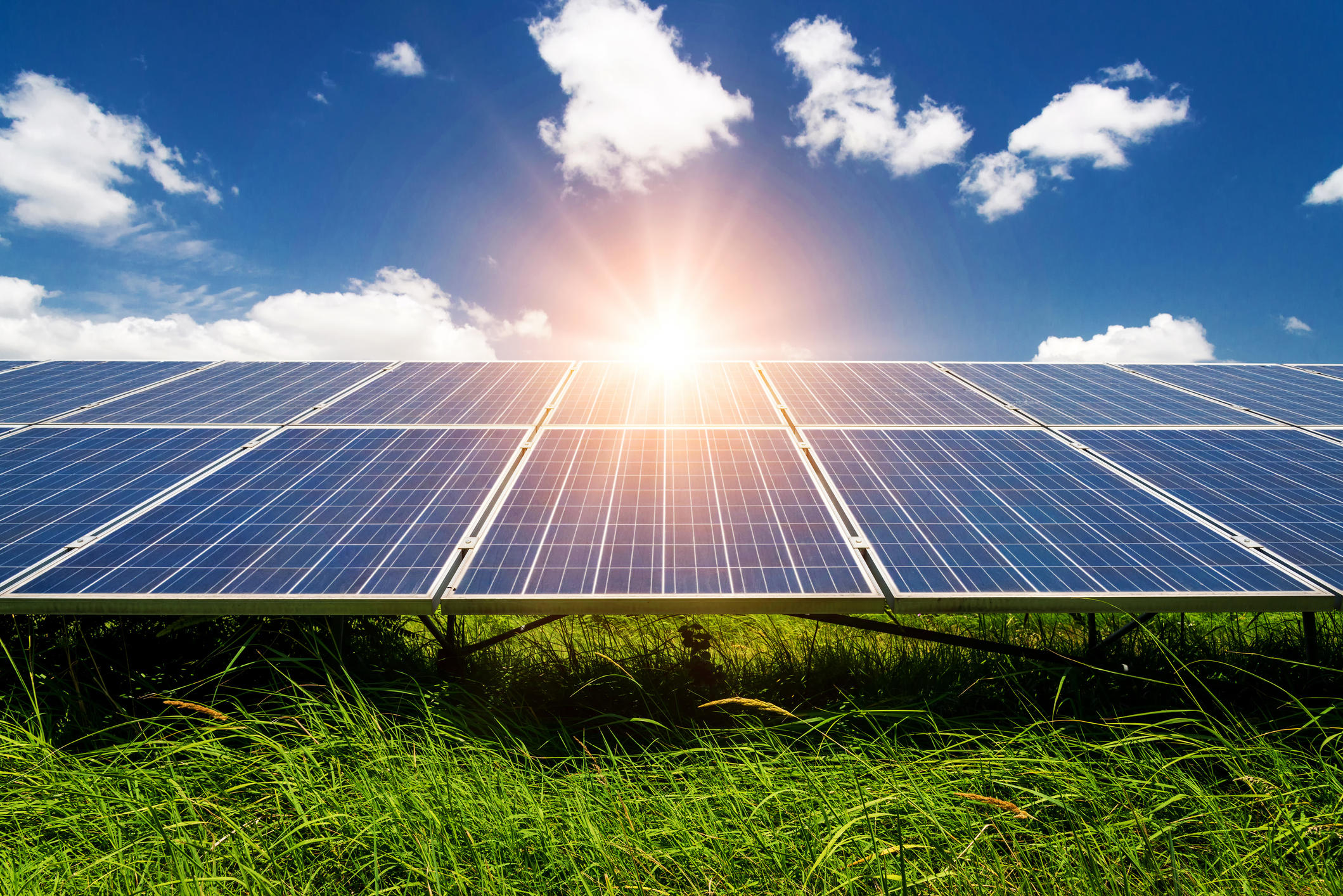 Discover the Best Solar Companies Today