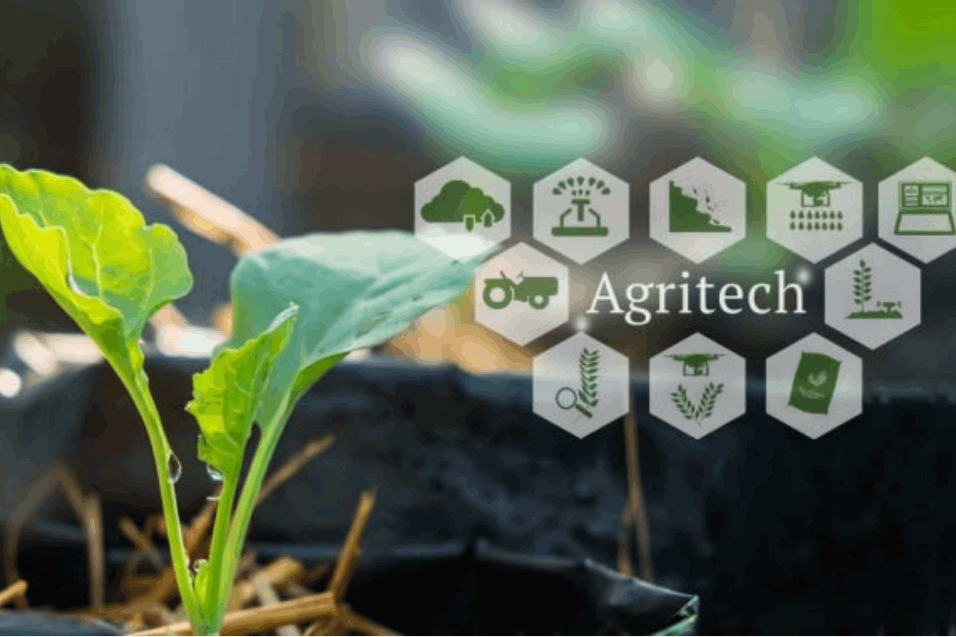 AgriTech - Learn More About This Technology