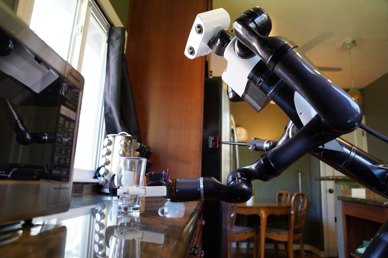 Discover What Domestic Robots Are